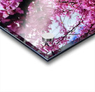 IMG 1517 Acrylic print