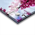 IMG 1528 Acrylic print