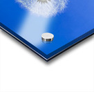 IMG 1764 Acrylic print