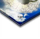 IMG 1743 Acrylic print