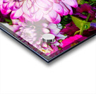 Flower Bloom 3 Acrylic print