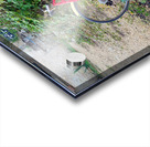 Pedaling Billboard    Acrylic print