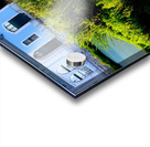 Ducking the Tourists Acrylic print