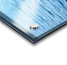 Behind Wings of Love 2B Acrylic print