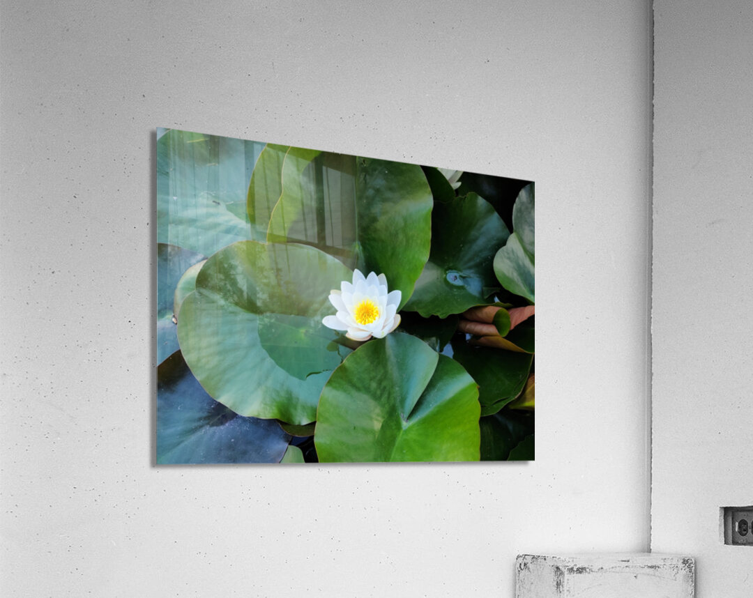 Emerald Cradle of Calm Acrylic Print