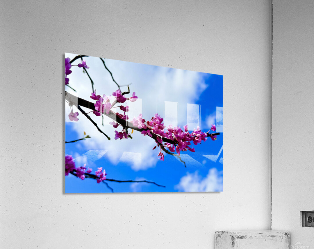 IMG 1702 Acrylic Print