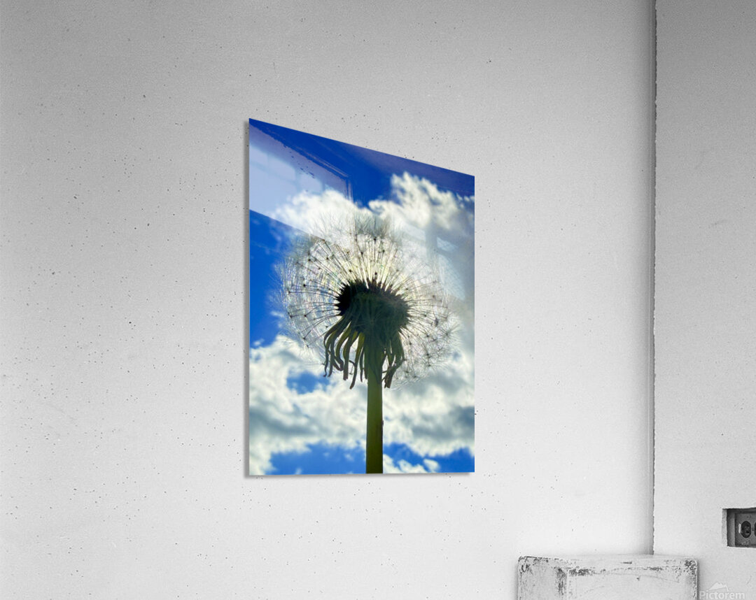 IMG 1740 Acrylic Print