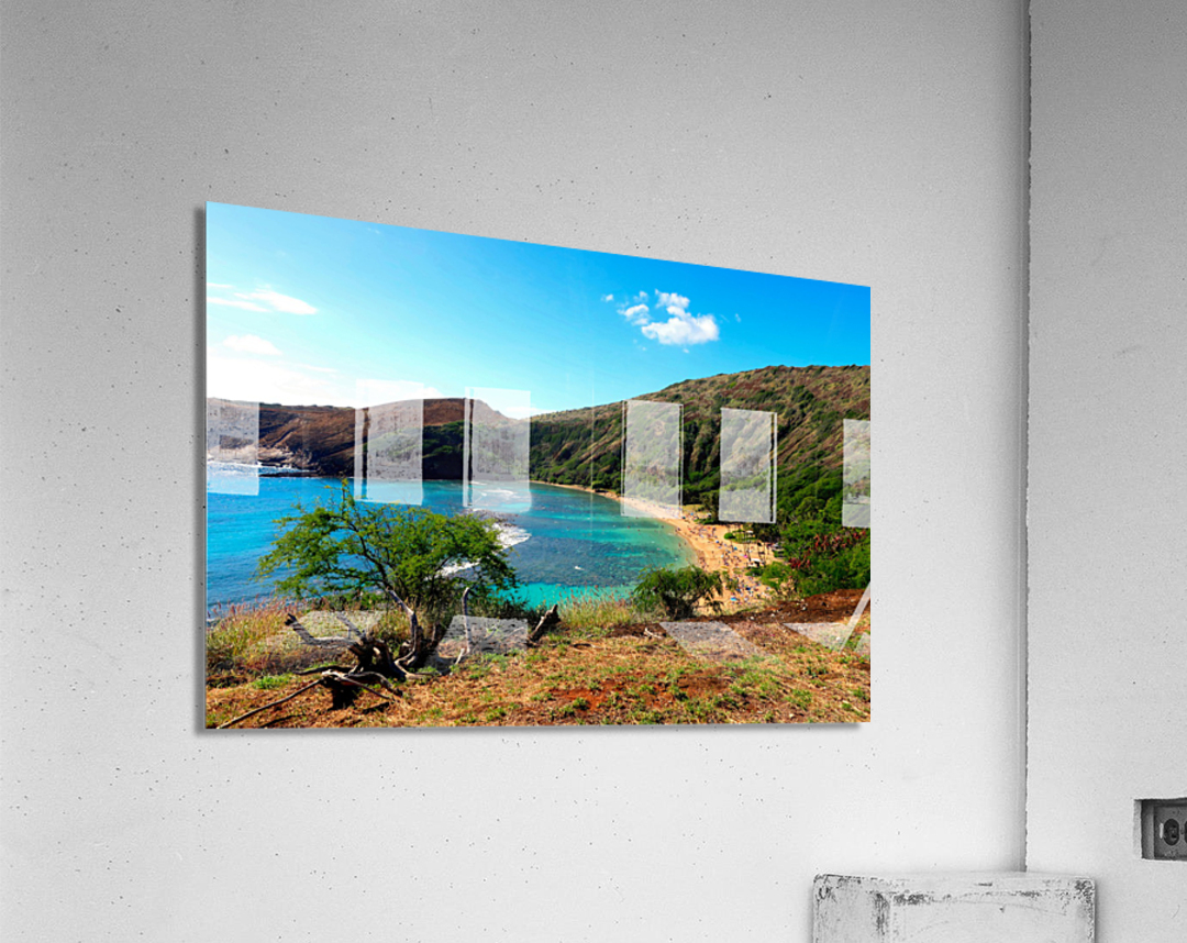 Paradise Found 2 Acrylic Print