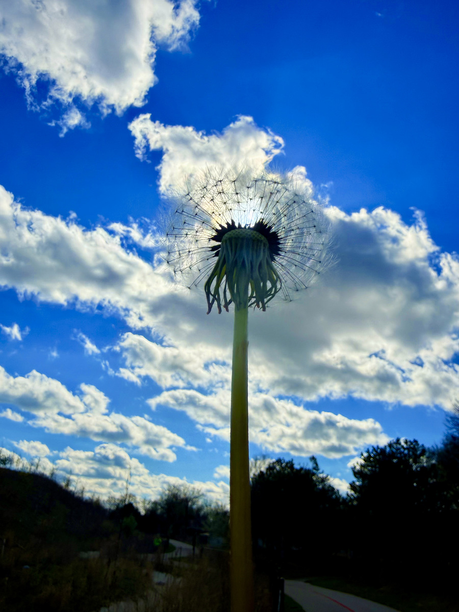 Impression de cadre personnalisé