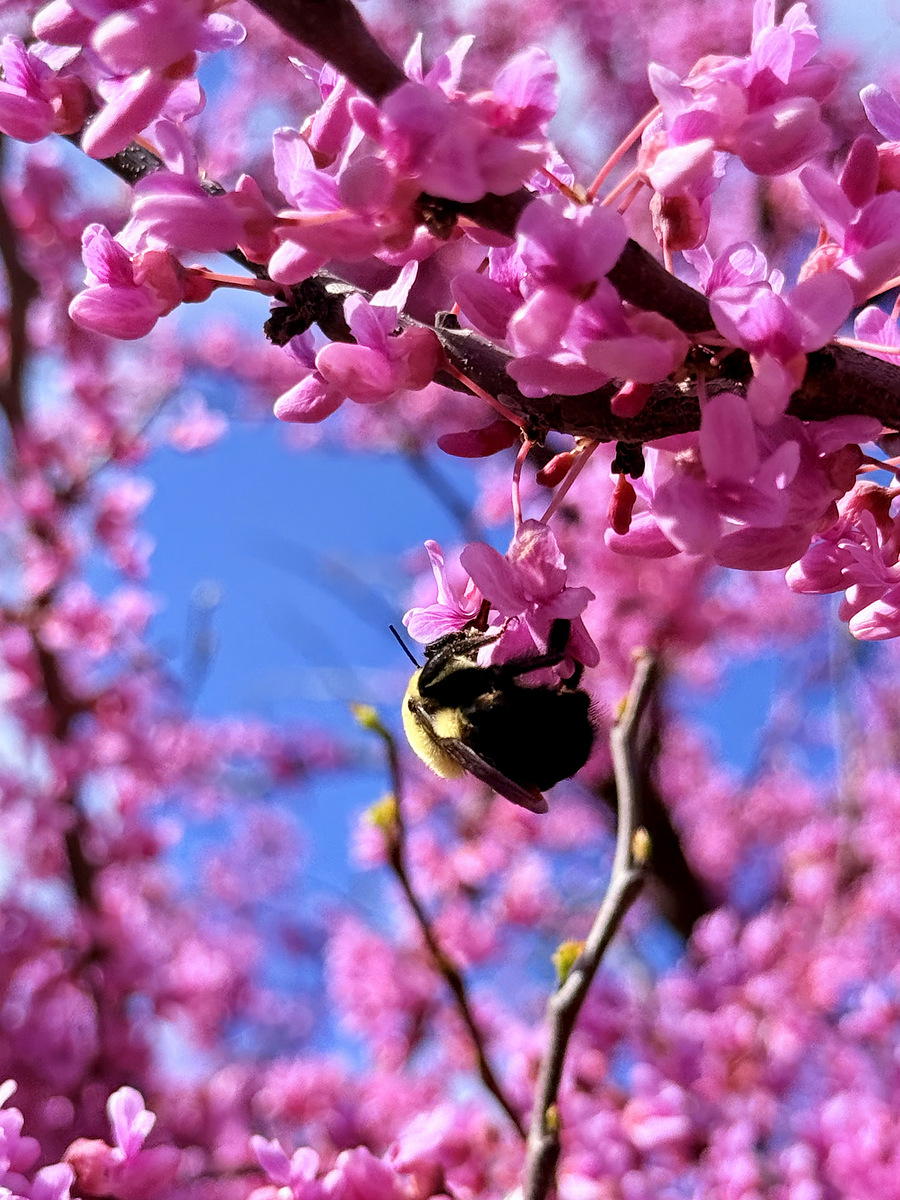 Impression de cadre personnalisé