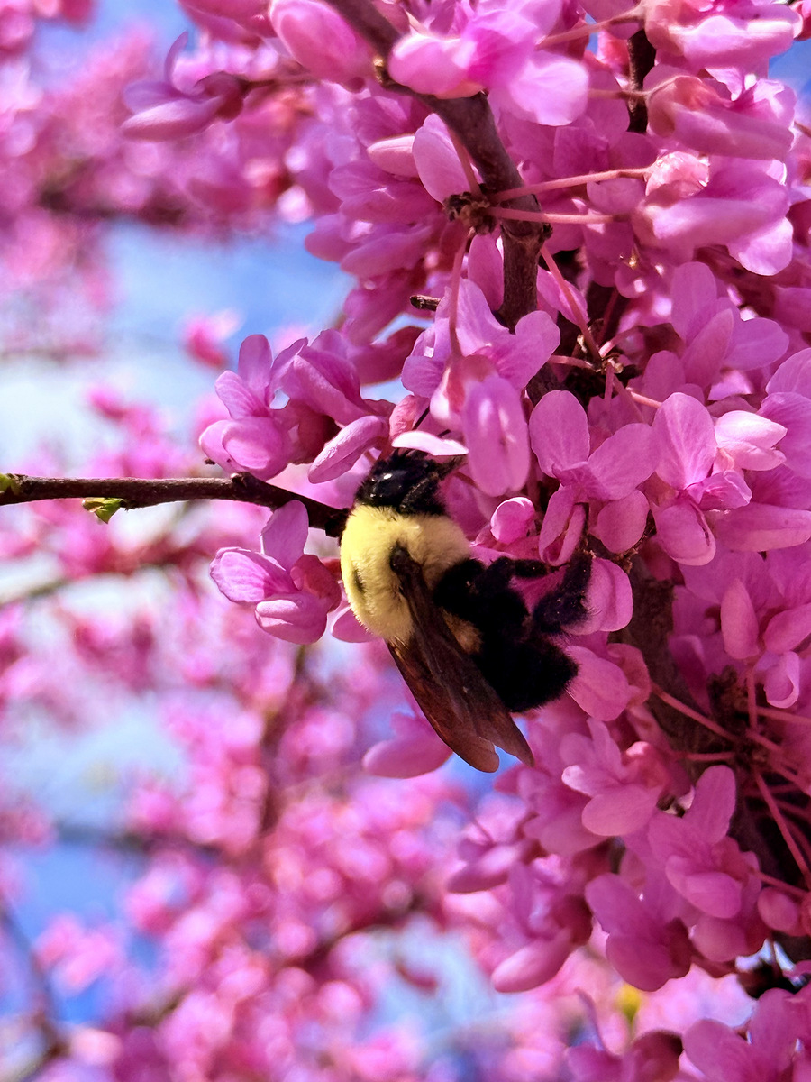 Impression de cadre personnalisé