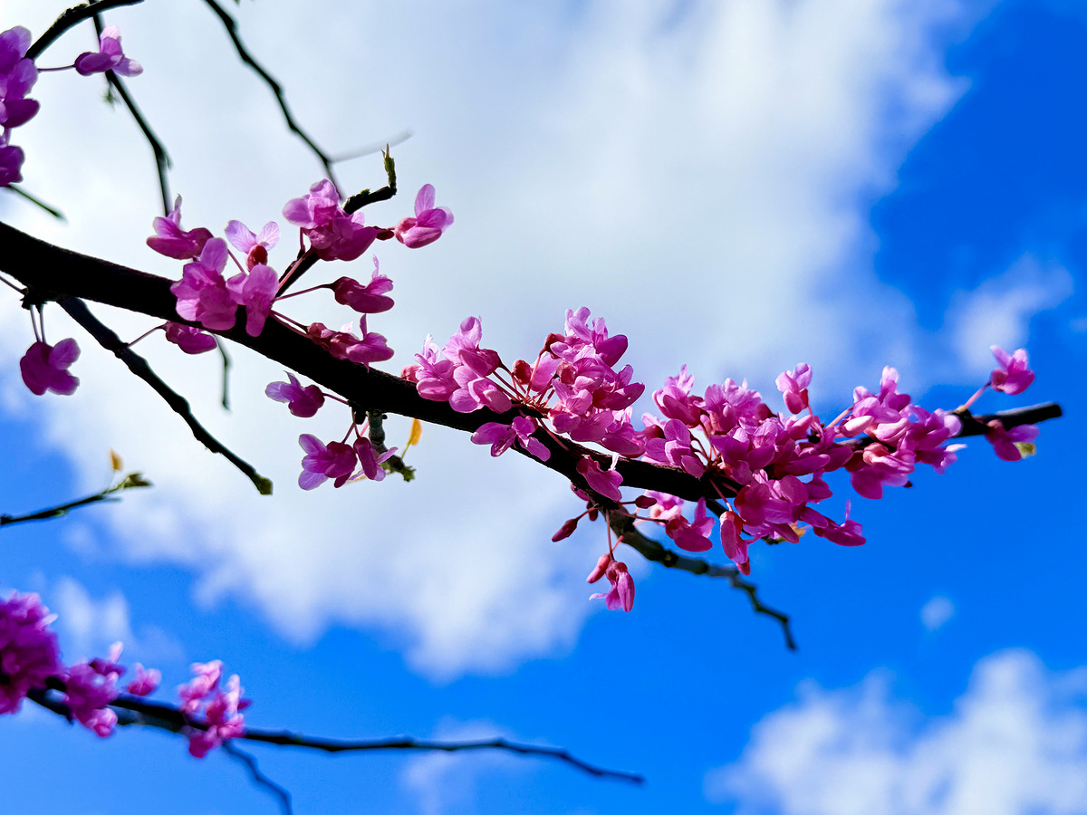 Impression de cadre personnalisé