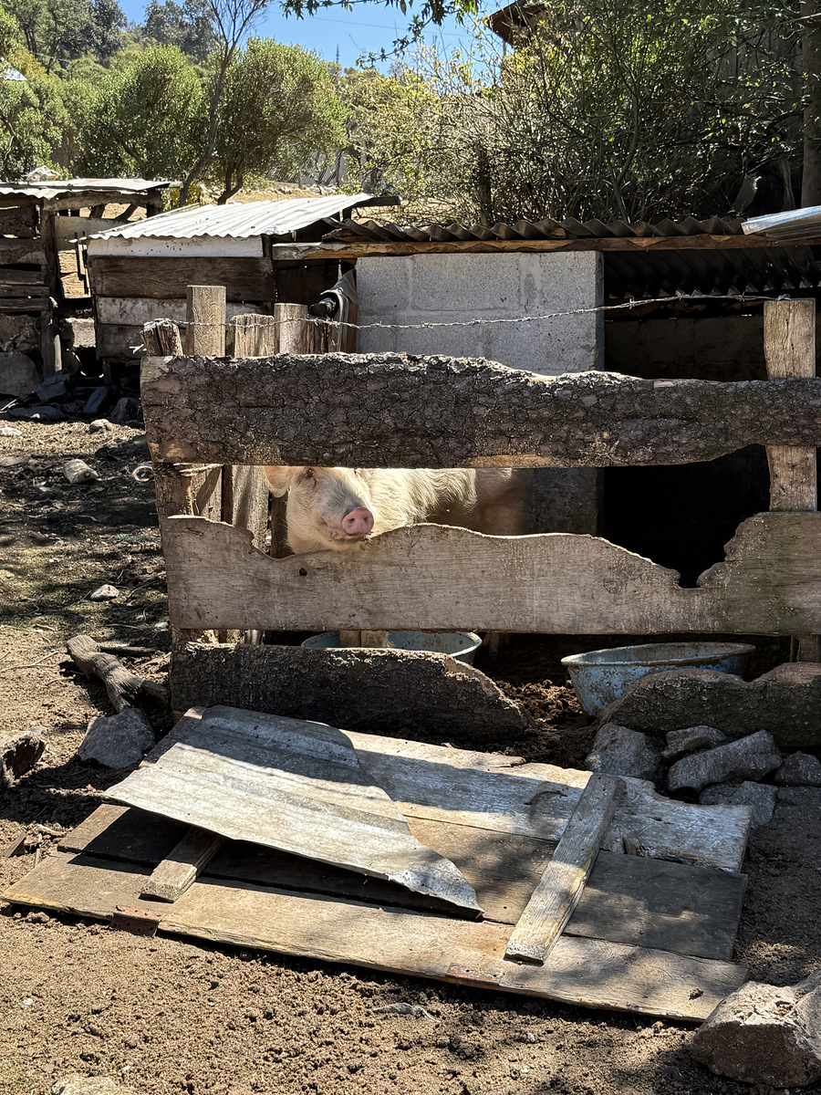 Impression de cadre personnalisé