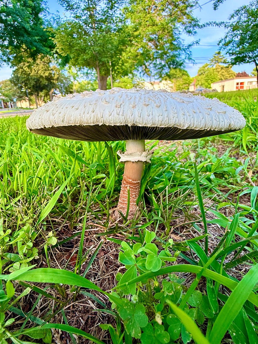 Impression de cadre personnalisé