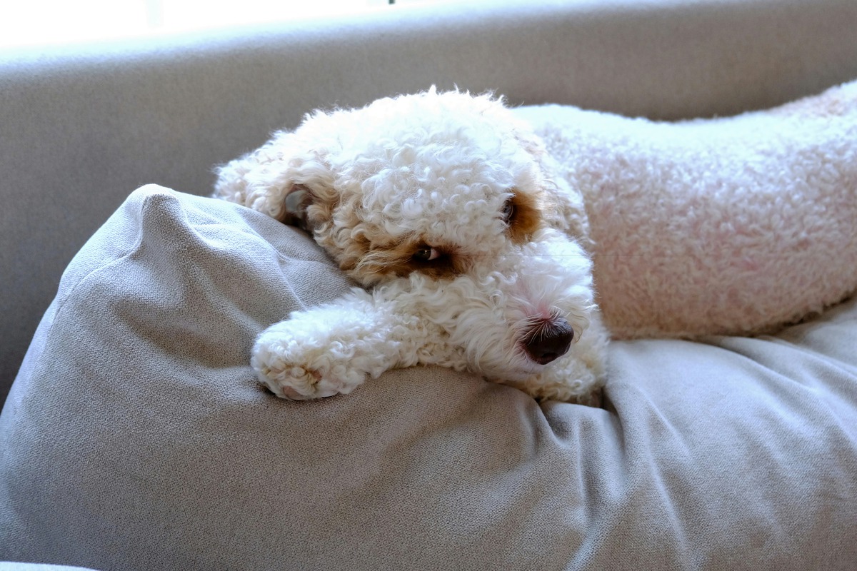 Impression de cadre personnalisé