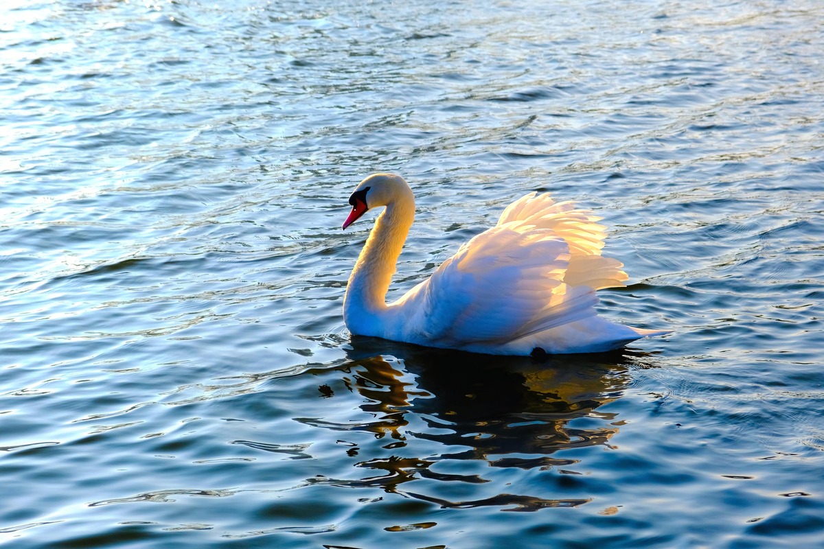 Impression de cadre personnalisé