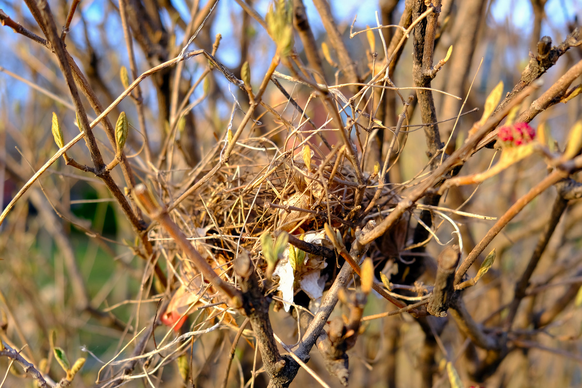 Impression de cadre personnalisé