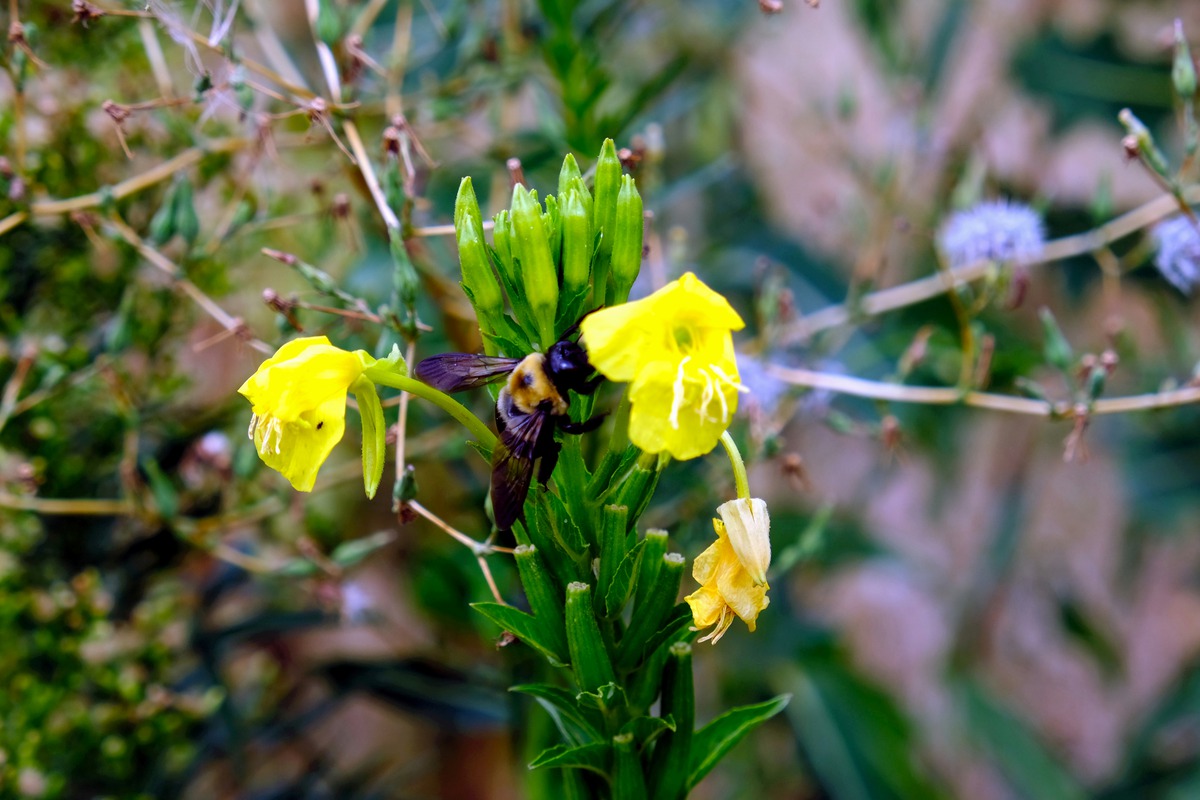 Impression de cadre personnalisé