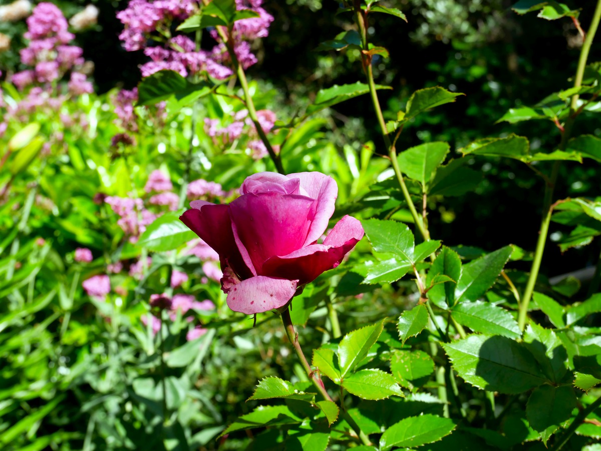 Impression de cadre personnalisé