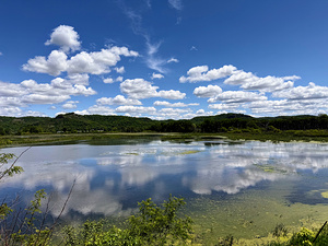 Cloud Watching by the Lake