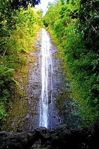 Falling for Colors B