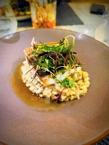 Earth Ocean Flame: A Coastal Culinary Portrait