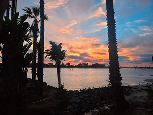 San Diego Sunset: Silent Waters Painted Skies Standing Tall