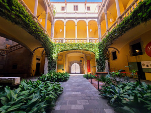  Solitude in Sunlight