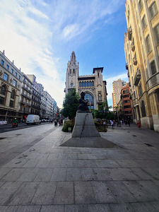 Sentinel of Solitude