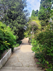 The Pause in the Path