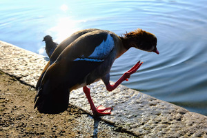  Step Off the Deep End