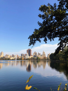 Nature’s Window to the City