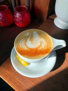 Shadow Swan Take Flight