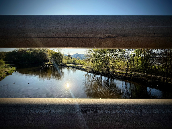 Spider Web on Bridge at Sunrise – Nature Framed in Stillness 2 Print