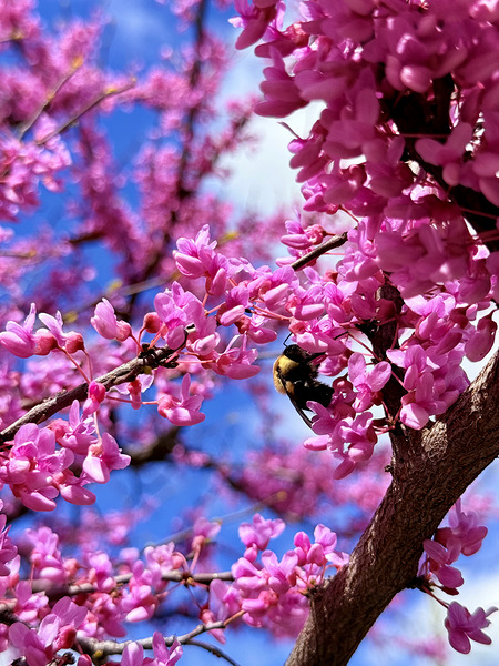 IMG 1577 Digital Download