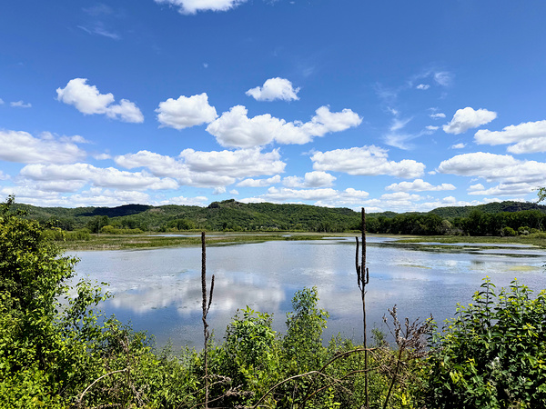 Into the Wild Blue Print