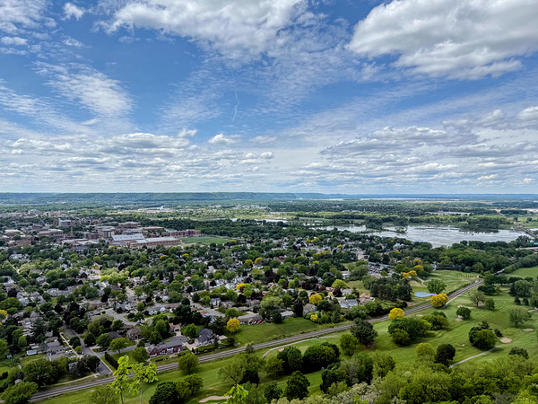 Sky Above Roots Below Print