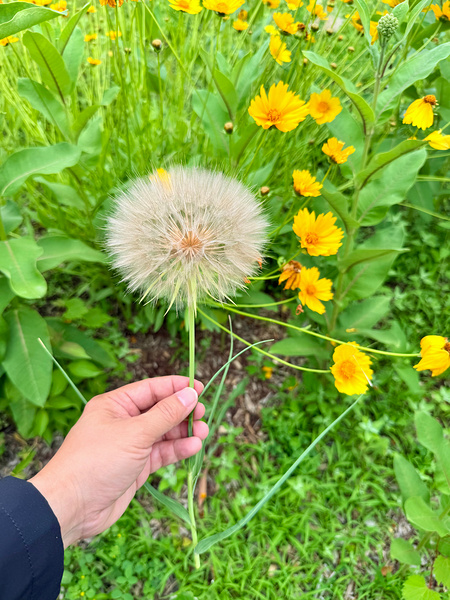 Cartography of a Wish Print