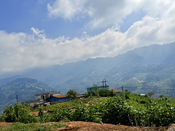 IMG 9268 Digital Download