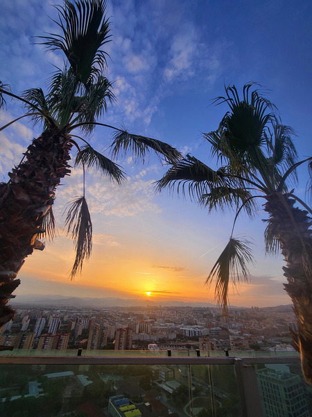 Golden Drift Between Palms Print