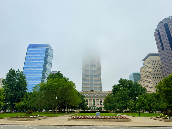 Lost in Light Gray Print