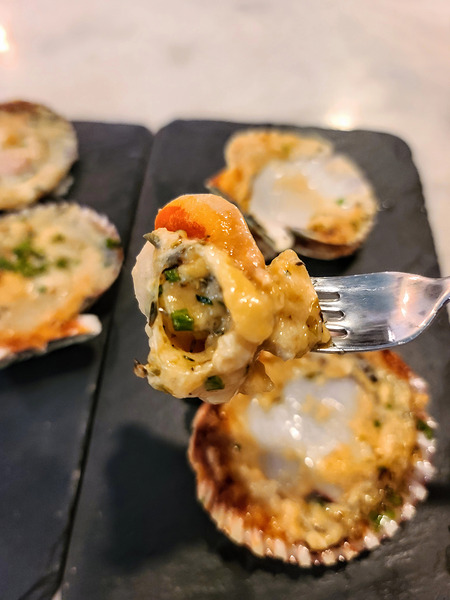 Shellbound Sonata Digital Download