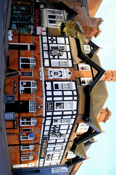 Royal Blenheim  Print