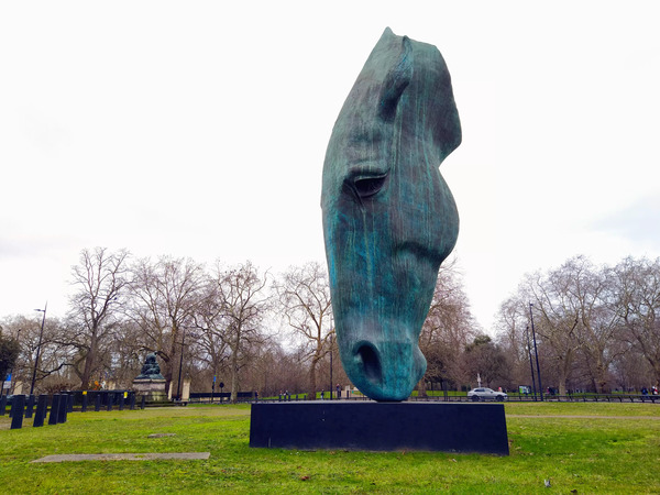 Horsehead Sculpture Print