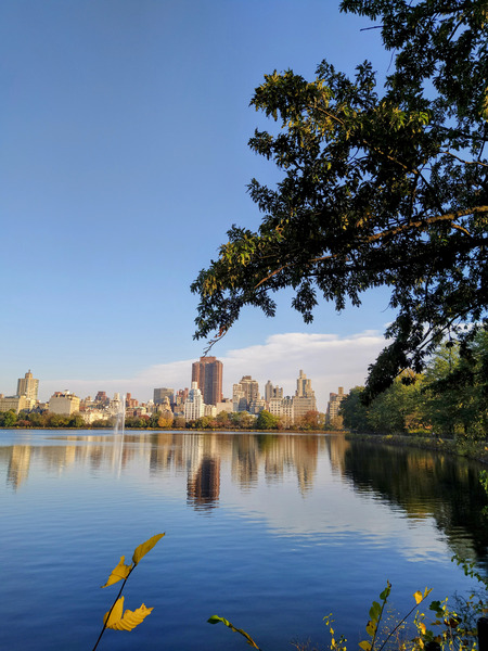 Framed Reflections – Central Park Print