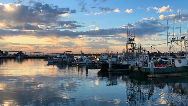 Seascape Escape C Print