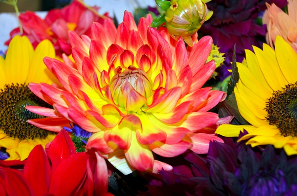 Flower Bloom 2 Print