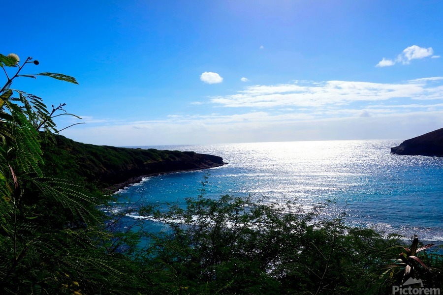 Welcome to Hawaii  Print