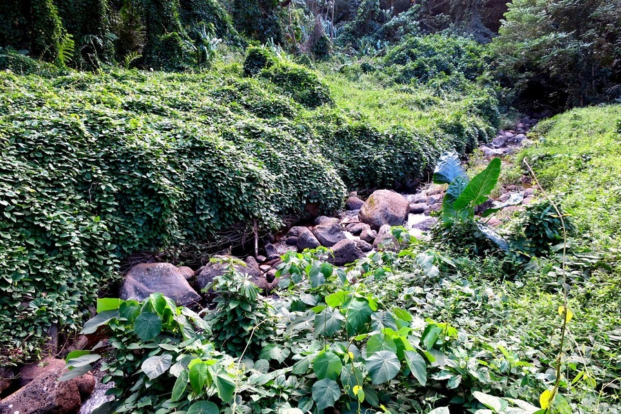 Hiking Hawaii 3  Imprimer