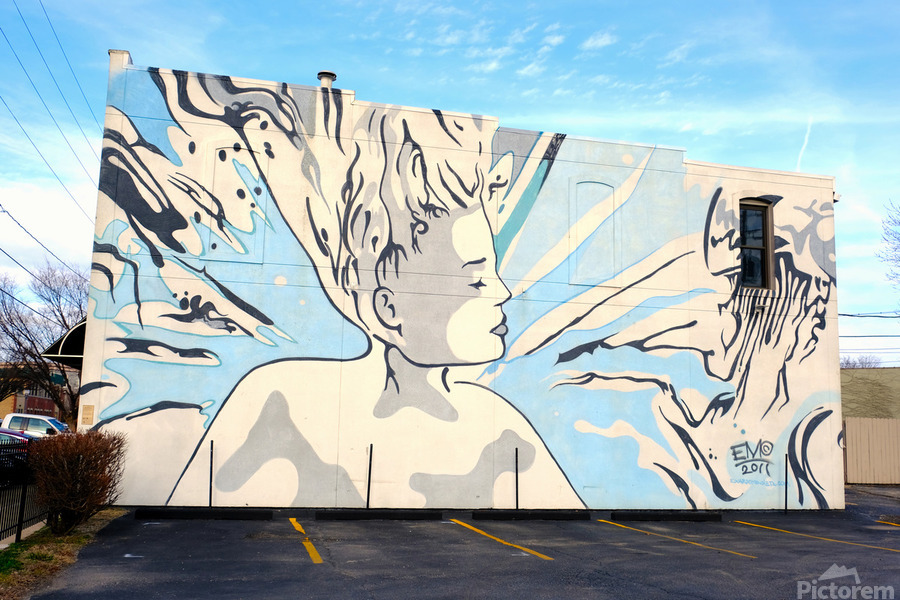 Wall of Beauty Mural  Print